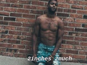 2inches_2much