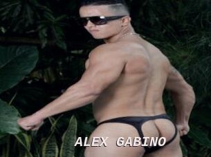 ALEX_GABINO