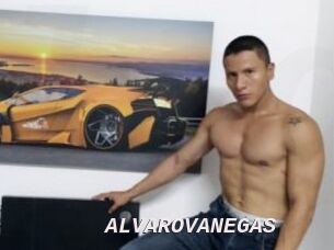 ALVAROVANEGAS