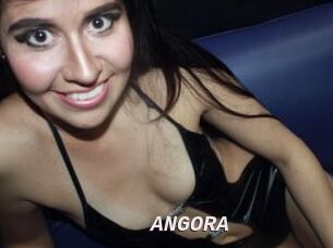ANGORA