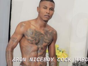 ARON_NICEBOY_COCK_HARD