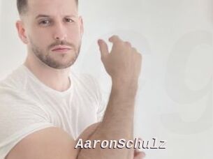 AaronSchulz