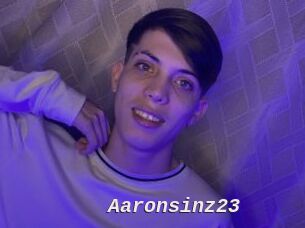 Aaronsinz23