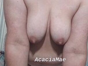 AcaciaMae