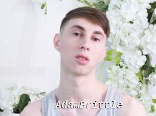 AdamBrittle