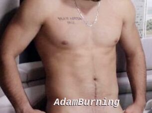 AdamBurning