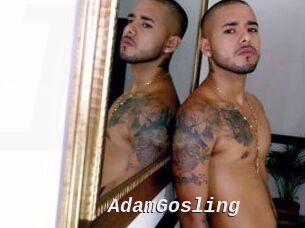 AdamGosling
