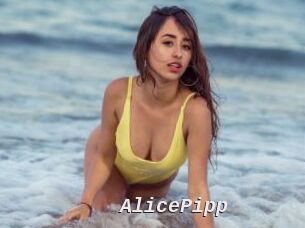 AlicePipp