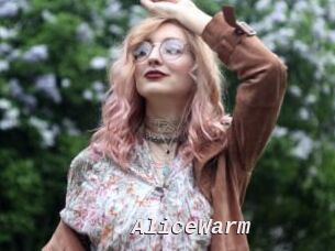 AliceWarm