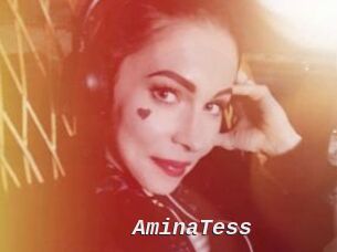 AminaTess