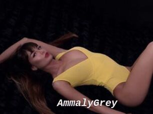 AmmalyGrey