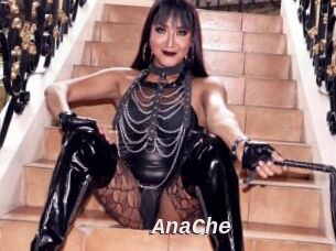AnaChe