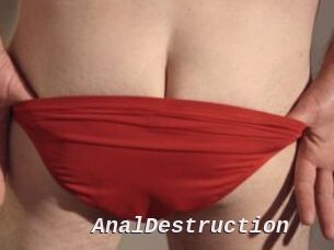 Anal_Destruction