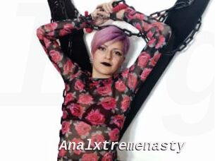 Analxtremenasty