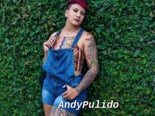 AndyPulido