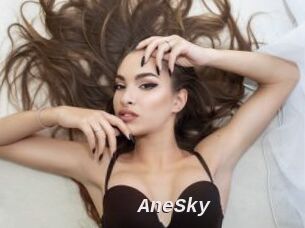 AneSky