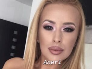 Aneri