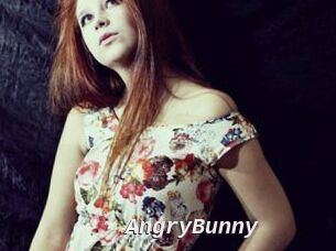 AngryBunny