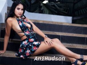 AniHudson
