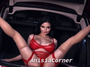 AnisiaCorner