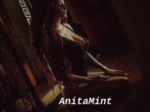AnitaMint
