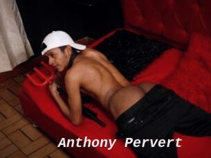 Anthony_Pervert