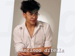 Antinoo_ditella