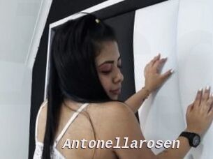 Antonellarosen