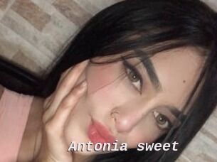 Antonia_sweet