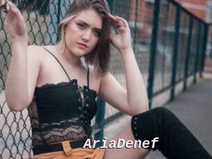 AriaDenef