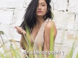 AriaMontgomery