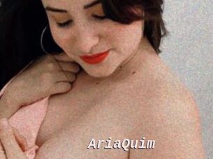 AriaQuim