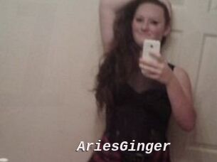 AriesGinger