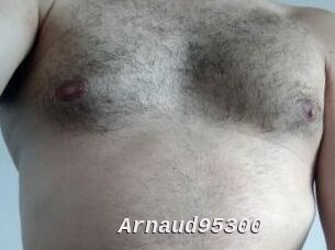 Arnaud95300