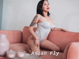 Asian_Fly