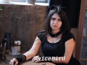 AviceBird
