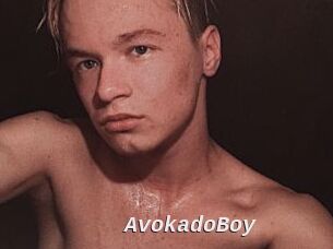 AvokadoBoy