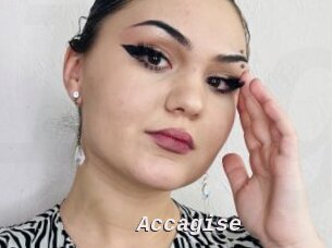 Accagise