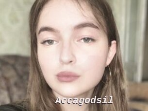 Accagodsil