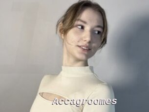 Accagroomes