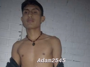 adam2545 Live Camgirls Sex