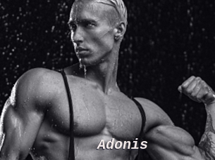 Adonis_
