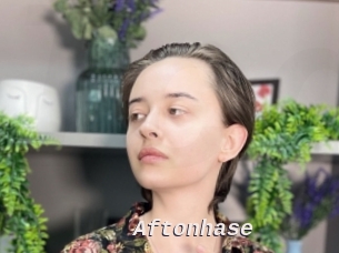 Aftonhase