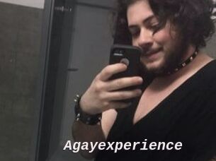 Agayexperience