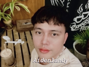 Aidenlandy
