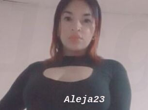 Aleja23