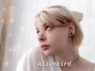 Alicebird