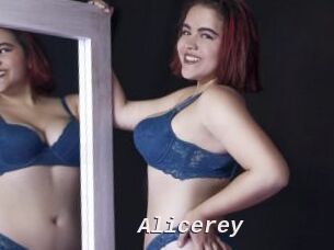 Alicerey