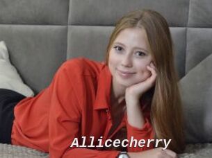 Allicecherry