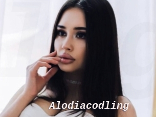 Alodiacodling
